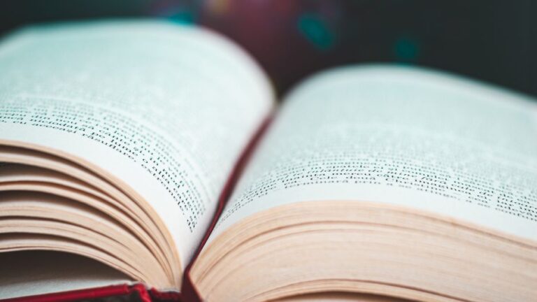 Detailed shot of an open book emphasizing printed text and paper texture.